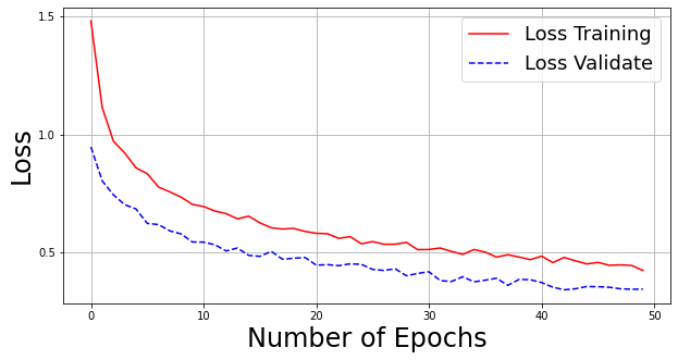 Training and Validation Loss Graph
